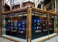 Part of the plankton exhibit at the Oxford Natural History Museum